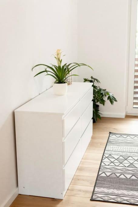 Aura Apartments Zirovnica Bagian luar foto