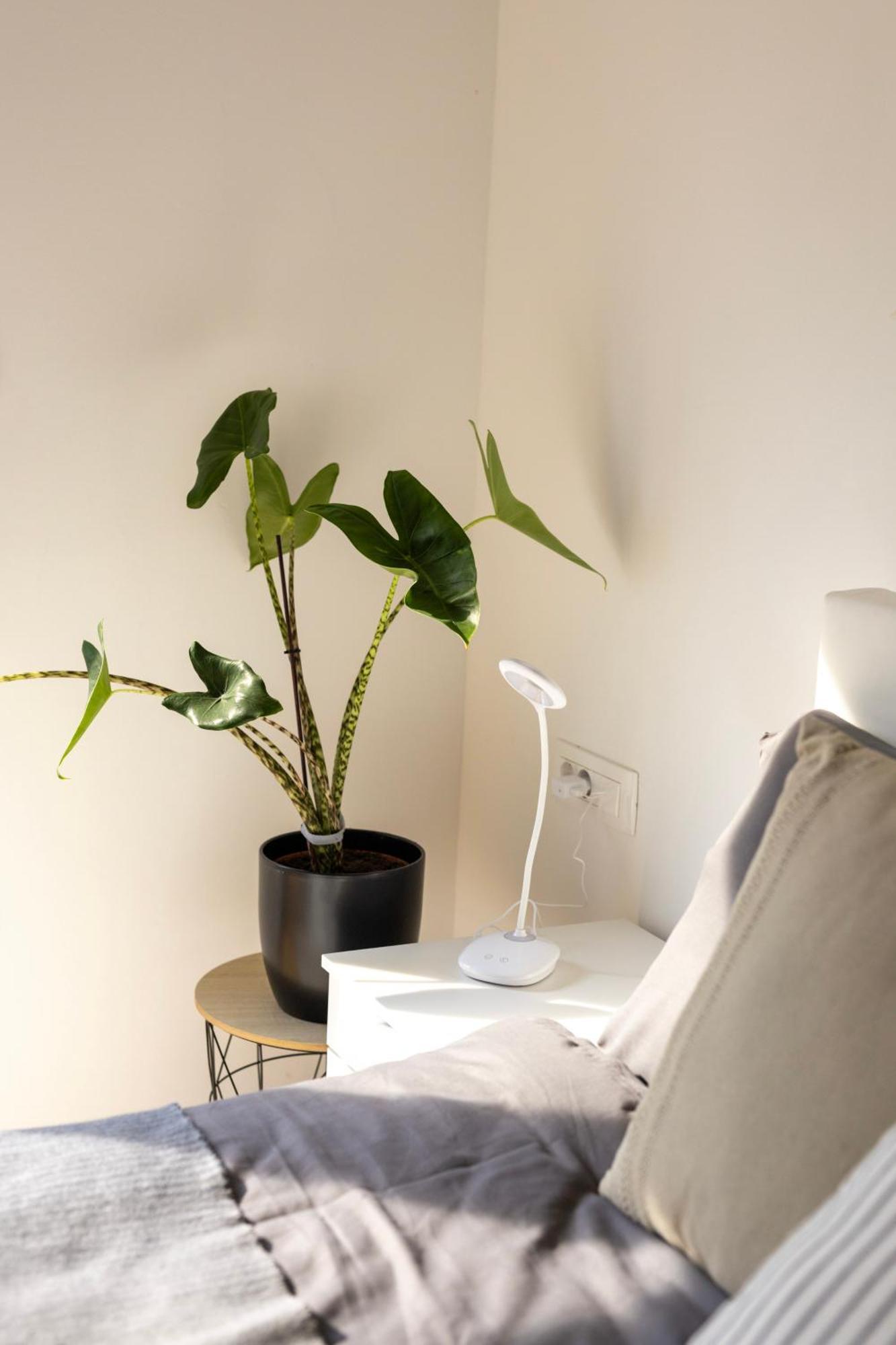 Aura Apartments Zirovnica Bagian luar foto